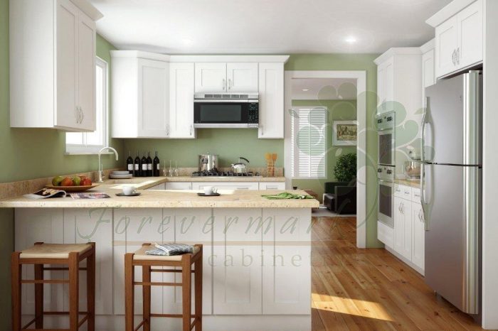 Fine line kitchen designs installs Forevermark Ice White Shaker